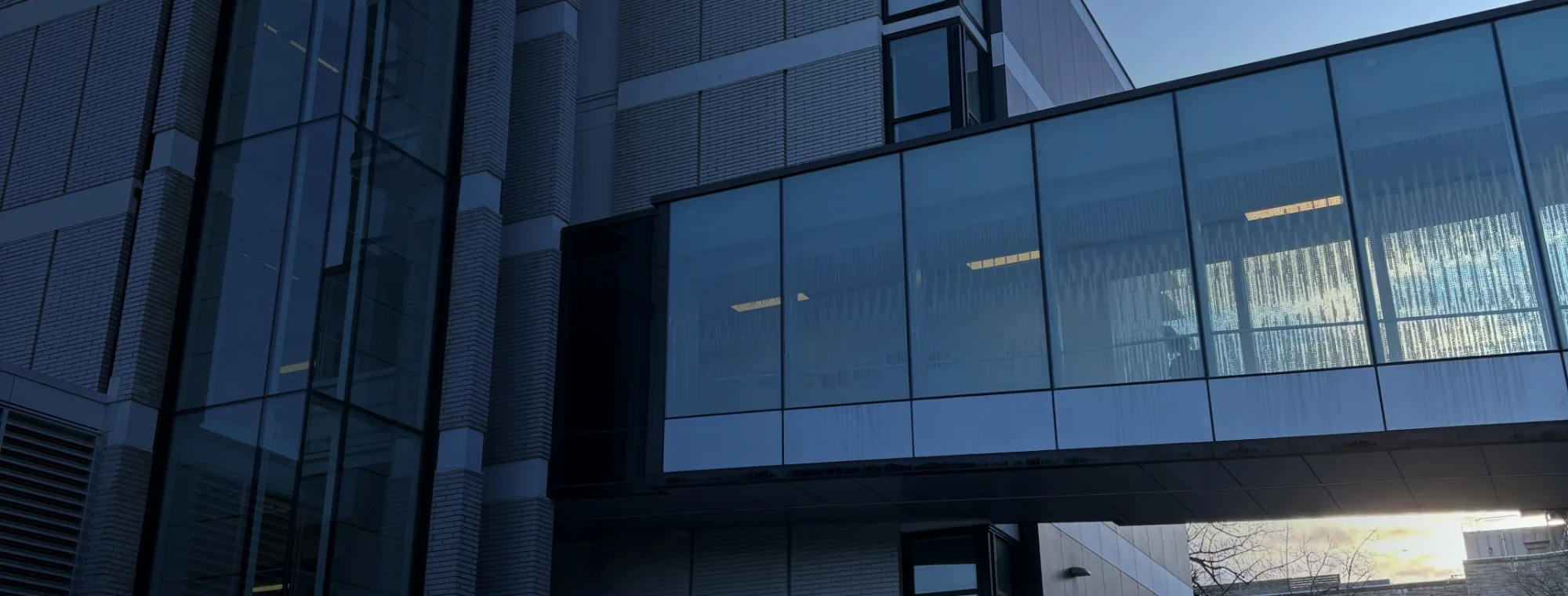 Commercial Glass