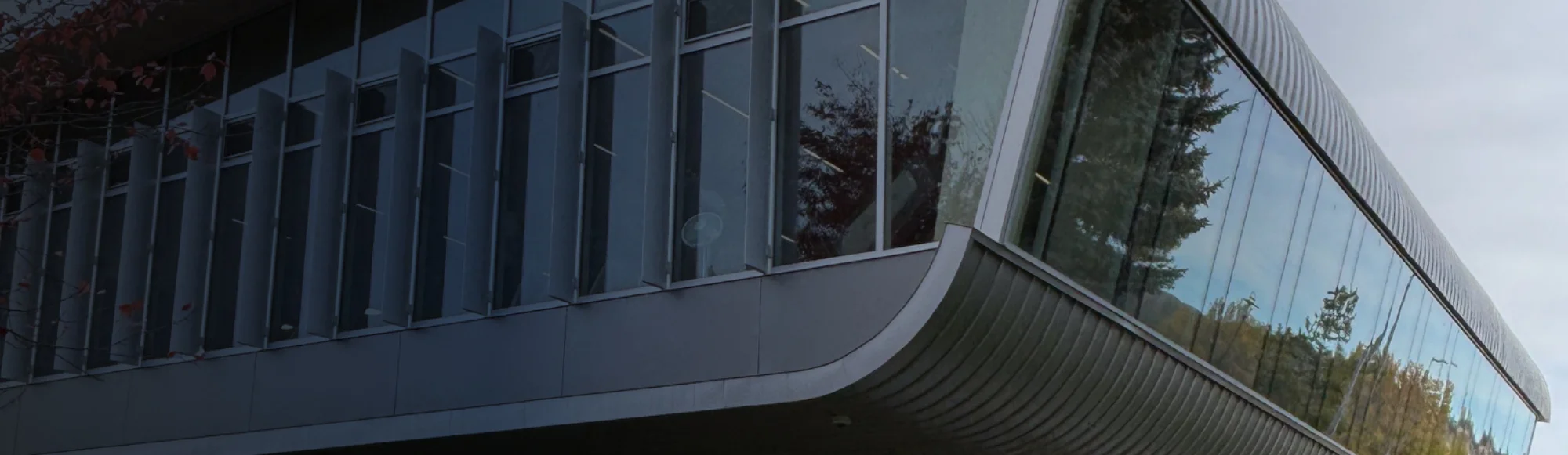 Residential Glass